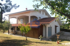 P6180061