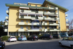 (1)