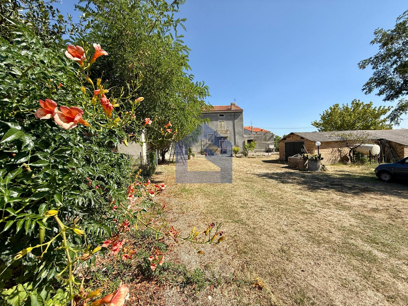 Casalbordino: Casolare con vigneto e uliveto [V9472]