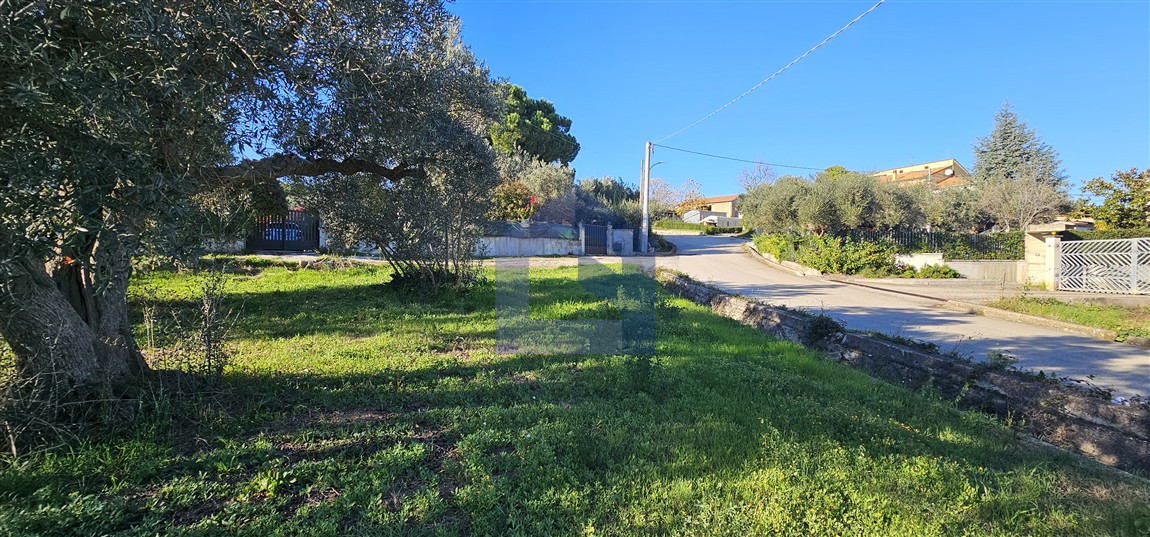 Santa Maria Imbaro – Terreno Edificabile [V1013]